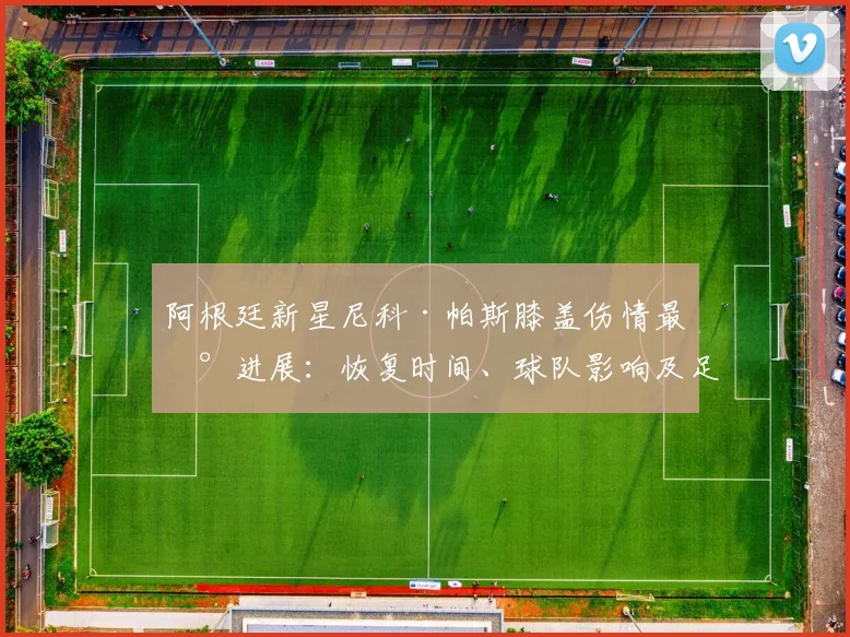 阿根廷新星尼科·帕斯膝盖伤情最新进展：恢复时间、球队影响及足协关注原因分析